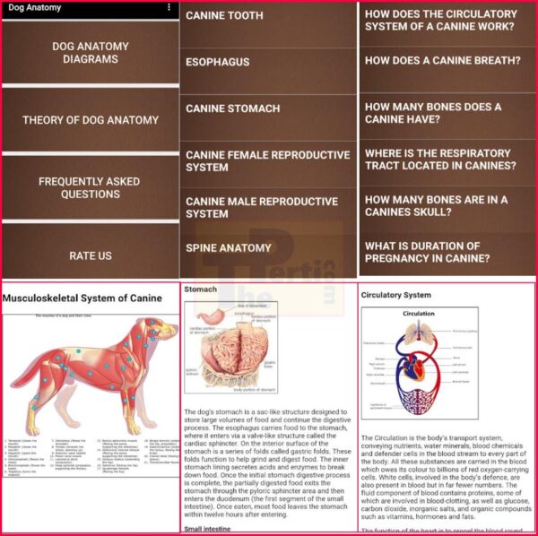 Dog Anatomy [Canine Anatomy] App banner