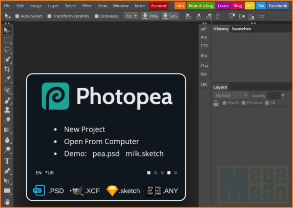 Photopea Image Editor Interface Window